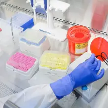 Zobacz zdjęcie: Laboratorium w szpitalu w Bolesławcu, gdzie będą prowadzone badania genetyczne na koronawirusa