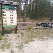 Zobacz zdjęcie: Dzikie wysypisko przy drodze 297, między Trzebieniem a Golnicami (gmina Bolesławiec)