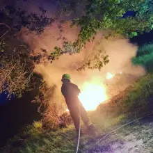 Zobacz zdjęcie: Akcja straży pożarnej w pobliżu drogi Nowogrodziec–Gierałtów (powiat bolesławiecki)