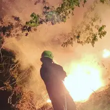 Zobacz zdjęcie: Akcja straży pożarnej w pobliżu drogi Nowogrodziec–Gierałtów (powiat bolesławiecki)