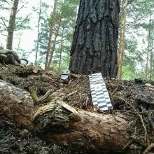 Zobacz zdjęcie: Akcja saperów z Patrolu Rozminowania nr 23 z 23 Śląskiego Pułku Artylerii