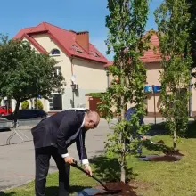 Zobacz zdjęcie: Urzędnicy z UMWD sadzą w Polkowicach Dęby Samorządności z okazji 30-lecia samorządu terytorialnego