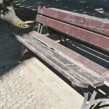 Zobacz zdjęcie: Zaniedbane ławki przy pl. Zamkowym w Bolesławcu (zdjęcia z 27 maja)