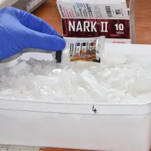Zobacz zdjęcie: Akcja Straży Granicznej. Pościg za audi w Węglińcu