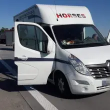 Zobacz zdjęcie: Akcja policji na A4. Eskortowanie koni