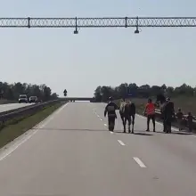Zobacz zdjęcie: Akcja policji na A4. Eskortowanie koni