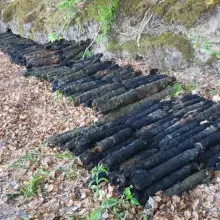Zobacz zdjęcie: Akcja żołnierzy na Jeziorze Ciemnym w województwie lubuskim
