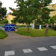Zobacz zdjęcie: Zabójstwo na osiedlu Przylesie w Lubinie: miejsce zdarzenia i podejrzany