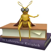Zobacz zdjęcie: Zwycięski projekt SP nr 1 w Bolesławcu: „W labiryncie książek”