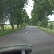 Zobacz zdjęcie: Niebezpieczne chaszcze przy wylotówce z Bolesławca