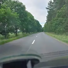 Zobacz zdjęcie: Niebezpieczne chaszcze przy wylotówce z Bolesławca