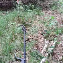 Zobacz zdjęcie: Niewybuchy w lesie