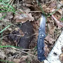 Zobacz zdjęcie: Niewybuchy w lesie
