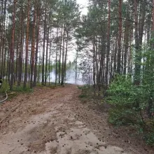 Zobacz zdjęcie: Akcja straży pożarnej w lesie w gminie Gromadka (powiat bolesławiecki)