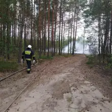 Zobacz zdjęcie: Akcja straży pożarnej w lesie w gminie Gromadka (powiat bolesławiecki)