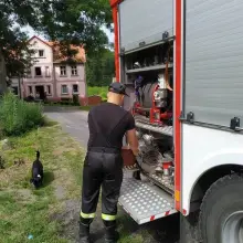 Zobacz zdjęcie: Akcja straży pożarnej w gminie Gromadka (powiat bolesławiecki)