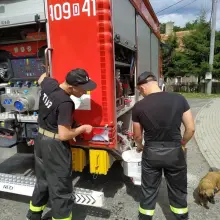 Zobacz zdjęcie: Akcja straży pożarnej w gminie Gromadka (powiat bolesławiecki)