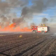View photo: Fires in fields in Tomaszów Bolesławiecki and Chościszowice
