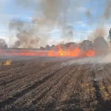 View photo: Fires in fields in Tomaszów Bolesławiecki and Chościszowice