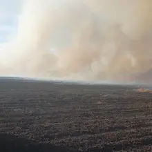 View photo: Fires in fields in Tomaszów Bolesławiecki and Chościszowice