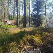 Zobacz zdjęcie: Akcja służb z powiatu bolesławieckiego przy autostradzie A4