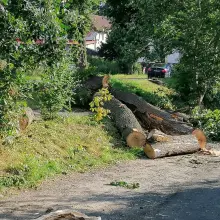 Zobacz zdjęcie: Konary na ścieżce rowerowej przy ulicy Lubańskiej w Bolesławcu