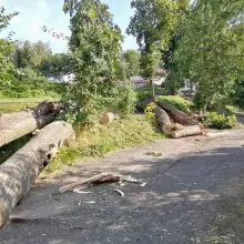 Zobacz zdjęcie: Konary na ścieżce rowerowej przy ulicy Lubańskiej w Bolesławcu