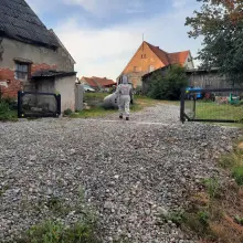 Zobacz zdjęcie: Strażacy usunęli gniazdo szerszeni w Różyńcu