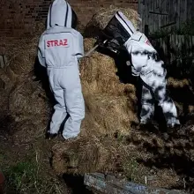 Zobacz zdjęcie: Strażacy usunęli gniazdo szerszeni w Brzeźniku