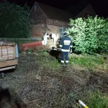 Zobacz zdjęcie: Strażacy usunęli gniazdo szerszeni w Brzeźniku