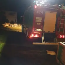 Zobacz zdjęcie: Strażacy usunęli gniazdo szerszeni w Brzeźniku