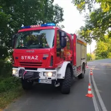 Zobacz zdjęcie: Kierowca Fiata zjechał z drogi i uderzył w drzewo