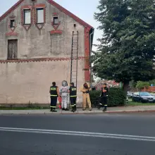 Zobacz zdjęcie: Strażacy z Różyńca usunęli gniazda Szerszeni na terenie Gromadki