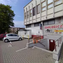 Zobacz zdjęcie: Sklep Zoologiczny Safarii (Bolko)