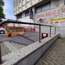 Zobacz zdjęcie: Sklep Zoologiczny Safarii (Bolko)
