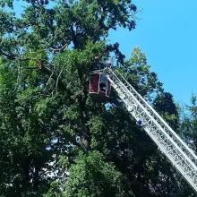 Zobacz zdjęcie: Akcja straży pożarnej w Milikowie (gmina Nowogrodziec, powiat bolesławiecki)