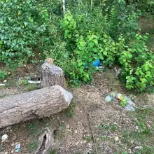 Zobacz zdjęcie: Masakryczny bałagan na brzegu Krępnicy (akwen w miejscowości Krępnica, gmina Bolesławiec)