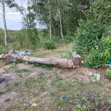 Zobacz zdjęcie: Masakryczny bałagan na brzegu Krępnicy (akwen w miejscowości Krępnica, gmina Bolesławiec)