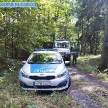 Zobacz zdjęcie: Akcja służb w lesie w Wilkowie (gmina Złotoryja)