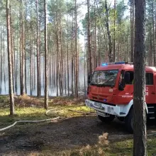 Zobacz zdjęcie: Akcja straży pożarnej w lesie w Bronowcu (gmina Osiecznica, powiat bolesławiecki)