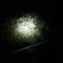 Zobacz zdjęcie: Nocna akcja straży w Krzyżowej
