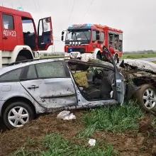Zobacz zdjęcie: Akcja służb koło Warty Bolesławieckiej