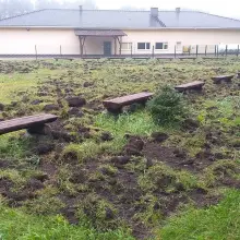 Zobacz zdjęcie: Leśny Amfiteatr w Parowej