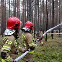 Zobacz zdjęcie: Strażacy w Borach Dolnośląskich. W ćwiczeniach brało udział niemal 110 osób