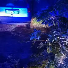 Zobacz zdjęcie: Akcja policji w gminie Mirsk (powiat lwówecki)