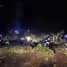 Zobacz zdjęcie: Akcja służb między Szczytnicą a Wilczym Lasem (gmina Warta Bolesławiecka)