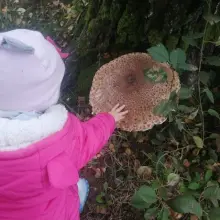 Zobacz zdjęcie: Gigantyczna kania na podwórku u pani Kamili