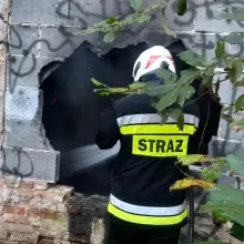 Zobacz zdjęcie: Akcja strażaków w m. Szczytnica