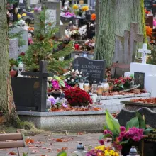 Zobacz zdjęcie: Cmentarz komunalny w Bolesławcu