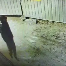 View photo: Suspect